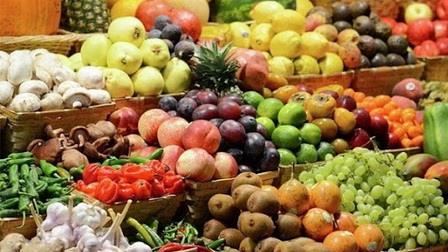 Iran’s export of agri. products up 30 percent in four months